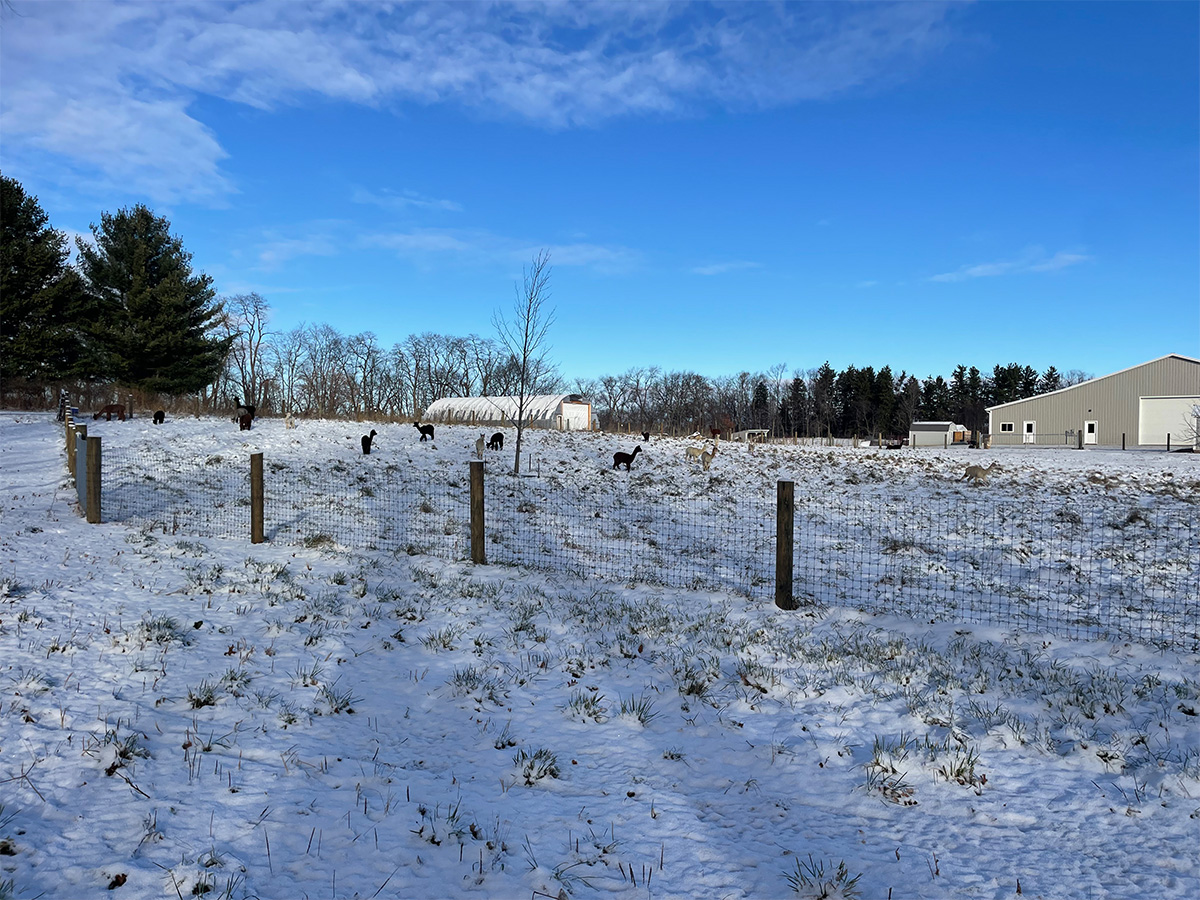 Jackson County MI Witamy Farm